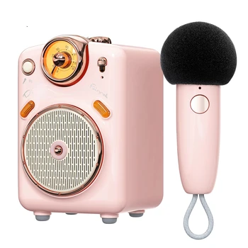 Prenosné BT Reproduktor s Mikrofónom Karaoke Funkcia s Voice Zmeniť FM Rádio TF Karty